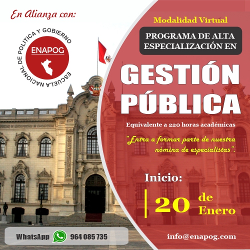 programa gestion publica